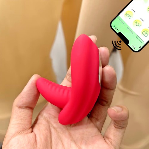 Vibrator mit app für sie - app,